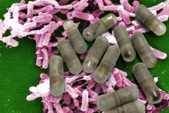 bacterium Clostridium difficile under a microscope with new "poop pills"