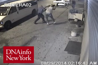 DNAinfo police brutality