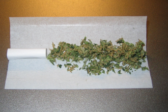 image from the Wikimedia Commons