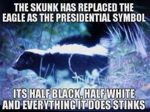 skunk meme