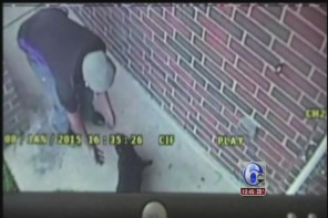 Fedex Driver Caught On Tape Stealing Puppies From Home (VIDEO)