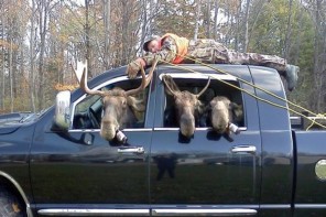 A deer in Wisconsin apparently waited for her chance, then attacked the hunter who shot her