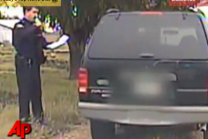 Watch This Police Officer React To An Overly Friendly Kitten That Tries To Interrupt His Job