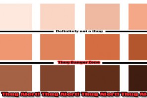 Curious: Zimmerman Arrested, Again, Fox ‘News’ NEVER Calls Him A Thug