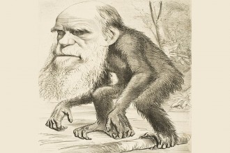 Darwin_Ape