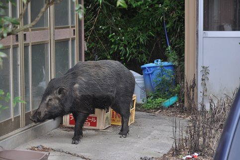 15045_394040687364455_590314037_n