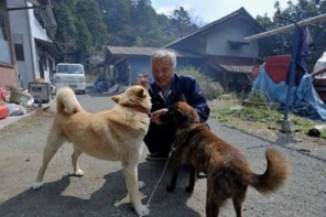 The Hero Who Stayed At Fukushima To Care For The Abandoned Animals (VIDEO)