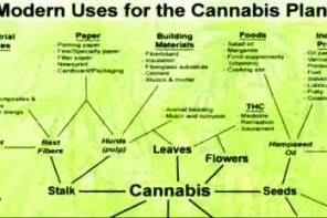 Joe Rogan DESTROYS Anti-Pot Rhetoric In True Joe Rogan Style: Hilarious And To The Point