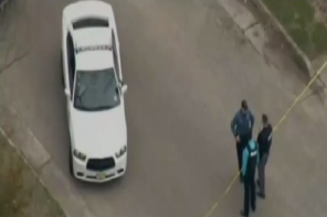 N.J. Man Dies  After Police Allow Dog To Maul His Face While They Beat Him (Video)