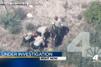 shane featured beating