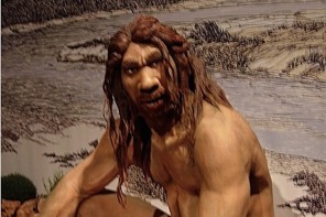 Science To Paleo Diet Cultists: You Don’t Understand How Evolution Works