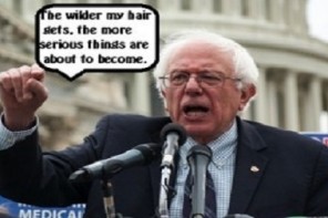 bernie-330x207