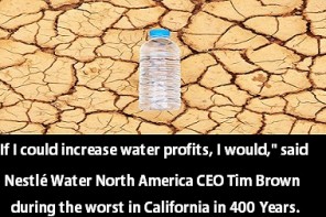 Nestle-Bottled-Water-California-Drought-537x387