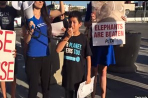 Watch Articulate 10-Year-Old’s Amazing Protest Of The Circus’ Cruel Treatment Of Elephants