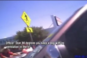 Watch What Happens When A Cop Allegedly Forces A Woman To Stay In A Hot Car (VIDEO)