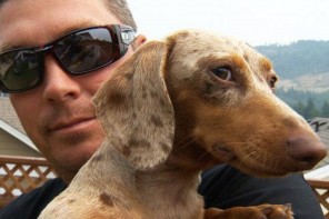 Mini Dachshund Owning Hero Punches Cougar In The Face To Save Beloved Pet (IMAGES)