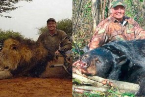 Murderer Of Famous Lion Also Illegally Killed Bear, Tried $20K Bribe To Keep It Hidden (IMAGES)