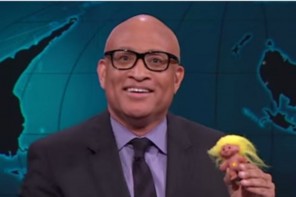 WATCH: Larry Wilmore Hilariously Destroys Trump’s Troll Candidacy And Pleads With America (VIDEO)