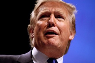 Steer-Clear-of-the-Stupid-Zone-That-Is-Donald-Trump-2-450x300