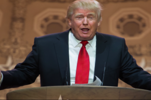 Cost To Deport All Illegals? $100-200 Billion.  Look On Trump’s Clueless Face?  Priceless