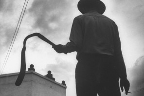 FDLS being fined for using child labor