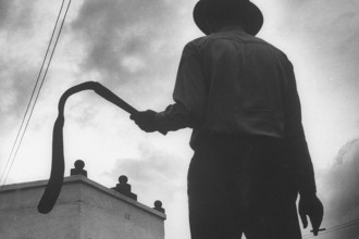 FDLS being fined for using child labor