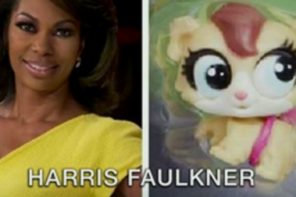 Fox News Anchor Suing Hasbro For Making a Toy Hamster With Her Name (VIDEO)