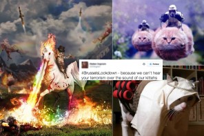 Police Ask People Not To Tweet About Brussels Lockdown  Belgians Respond With We Haz Kittens! (TWEETS)