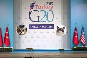 WATCH: Honey Badger Cats Storm Stage At G20 Summit — Serious ‘CATastrophe’ Avoided (VIDEO)
