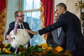 Republicans Hate Obama So Much They Even Oppose The Way He Pardoned The Thanksgiving Turkey