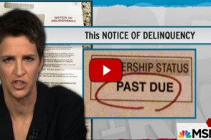 BUSTED: Rachel Maddow Might Have Cost Republicans Millions With This SCATHING Report (VIDEO)