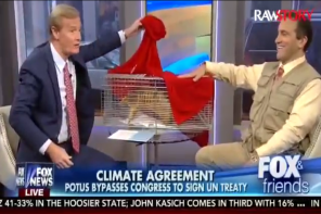 Fox Guest Brings Out Dead Armadillo In Insane Attempt To ‘Disprove’ Global Warming (VIDEO)