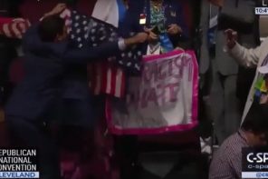 RNC Security Literally Assaults Code Pink Protester With American Flag (VIDEO)