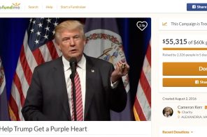 Combat Vet Sets Up A GoFundMe To Give Trump The Opportunity To EARN That Purple Heart